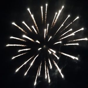 Meet your Posher, Aleena